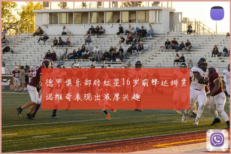德甲俱乐部对红星16岁前锋达姆贾诺维奇表现出浓厚兴趣