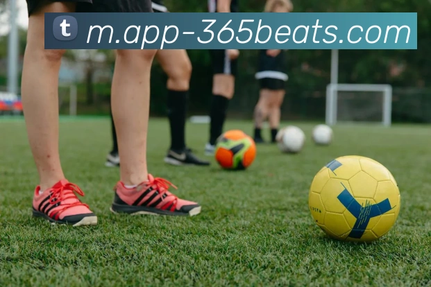 BET365服务体系