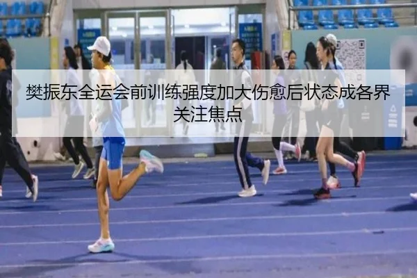 樊振东全运会前训练强度加大伤愈后状态成各界关注焦点 | bet365